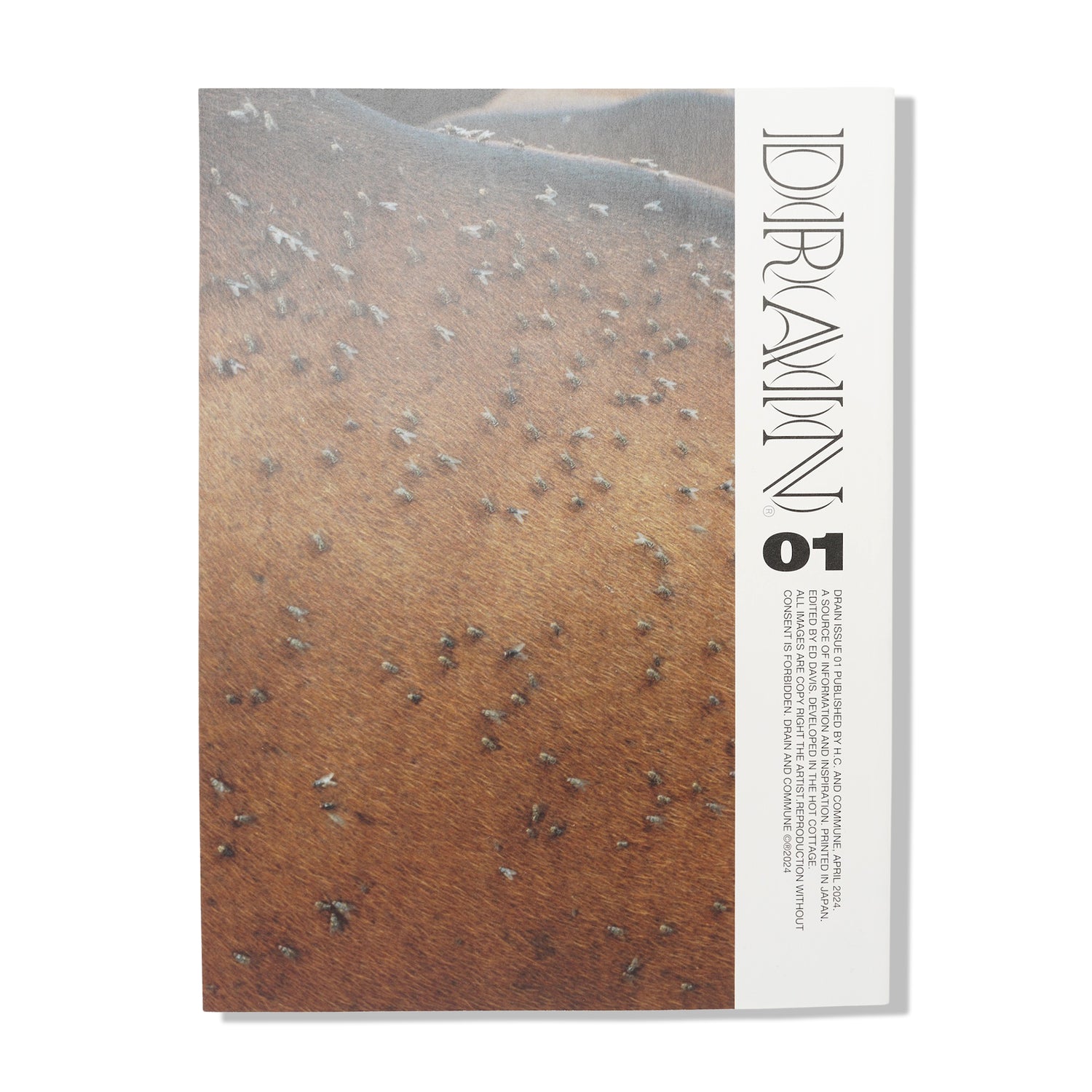 Drain Issue 01