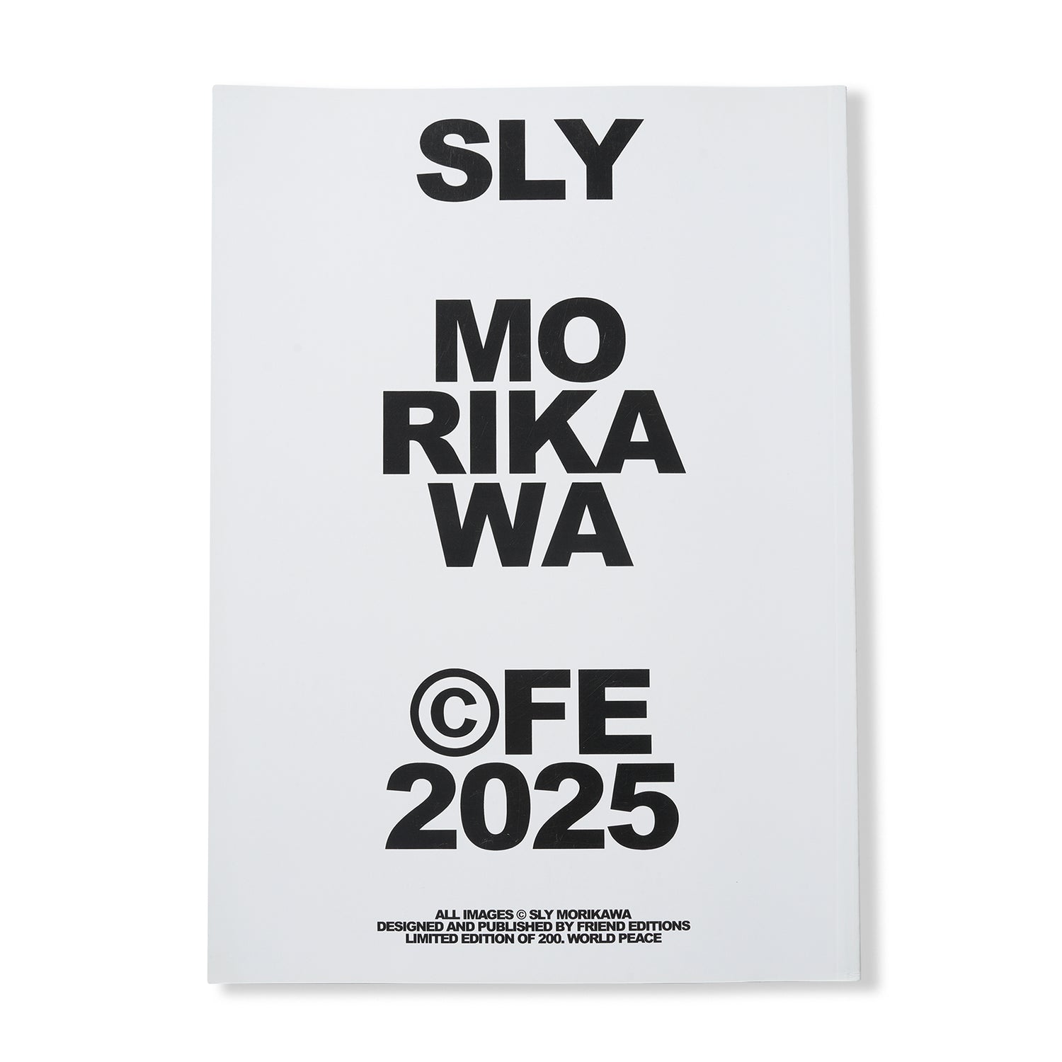 Highway Coaster Pleasure Land: Sly Morikawa