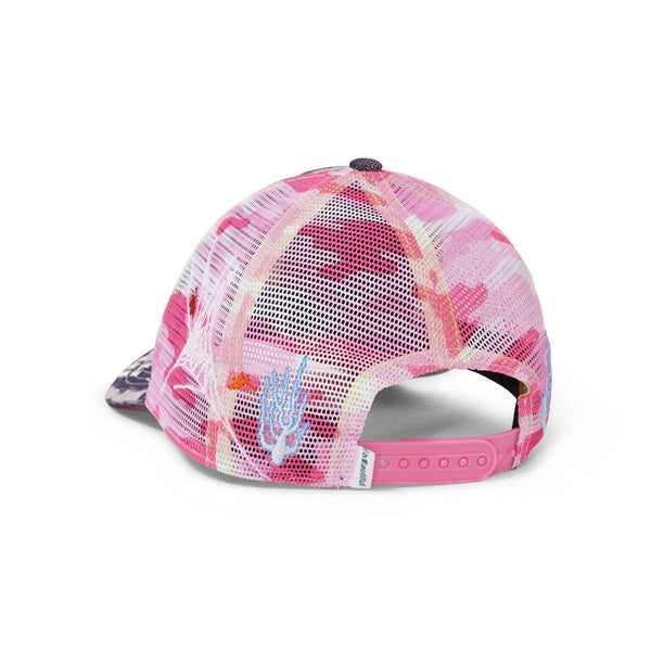 DSC04605_a0b37d4a-2248-44bb-