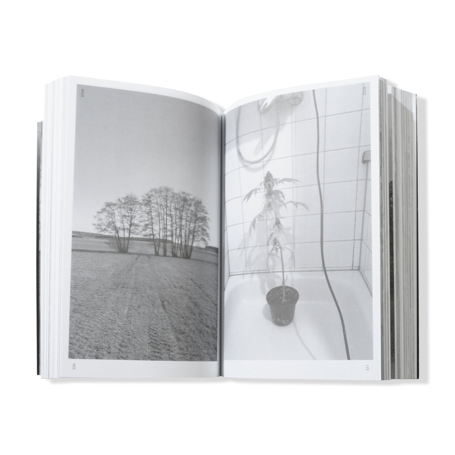 Stefan Marx 'Chronicles 2009-2023'