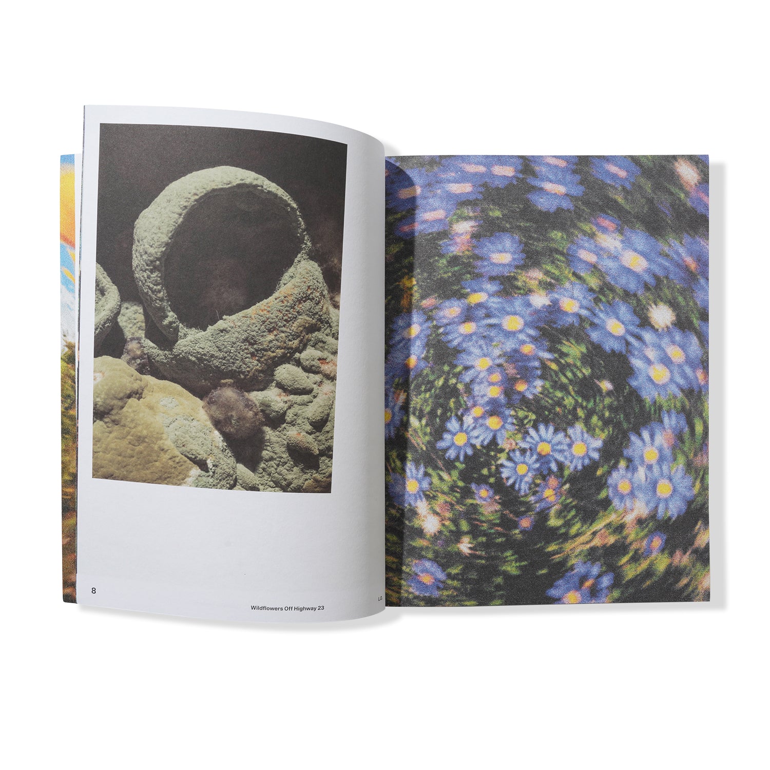 Local Optimist Issue 01, sapphire