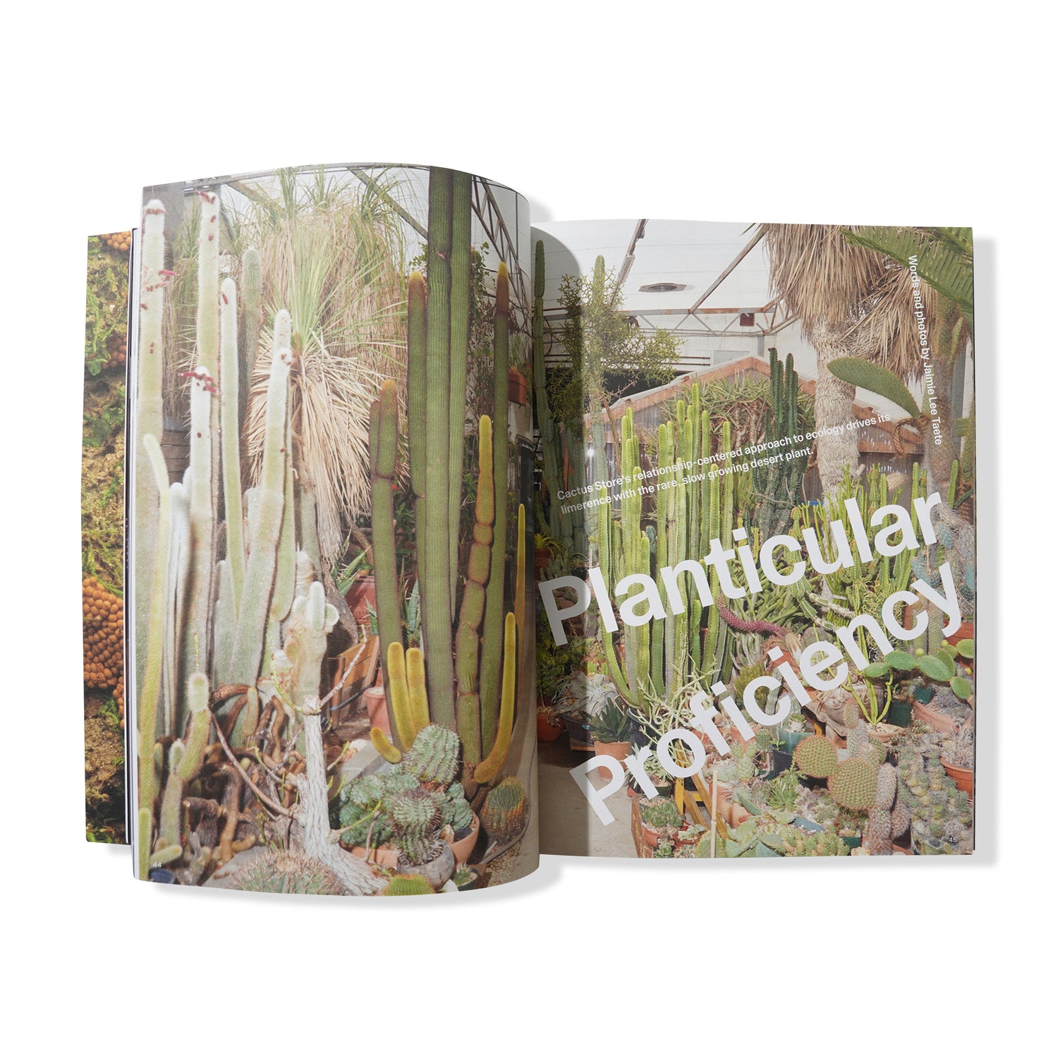 Local Optimist Issue 03, Cactus Store