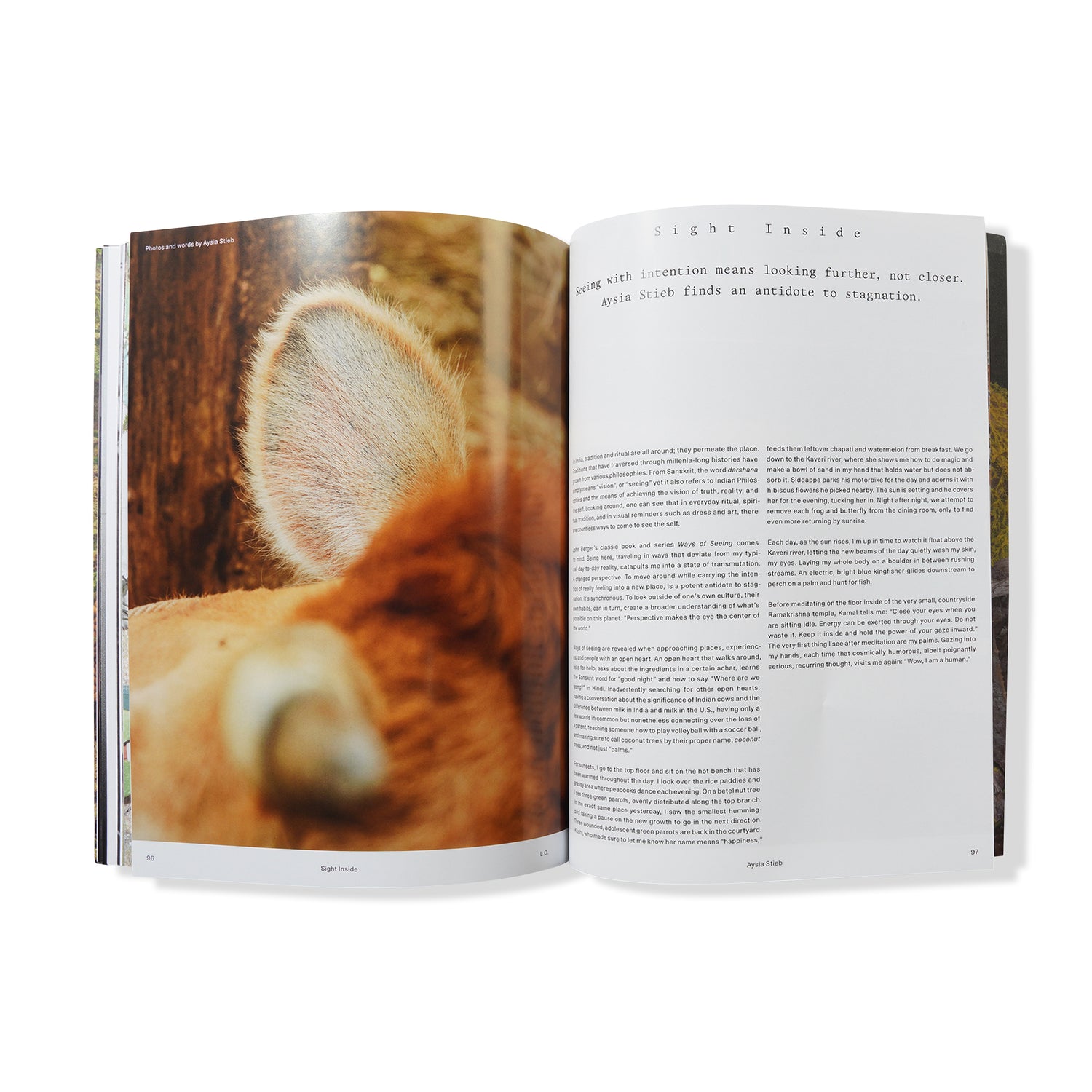 Local Optimist Issue 03, Max Lamb