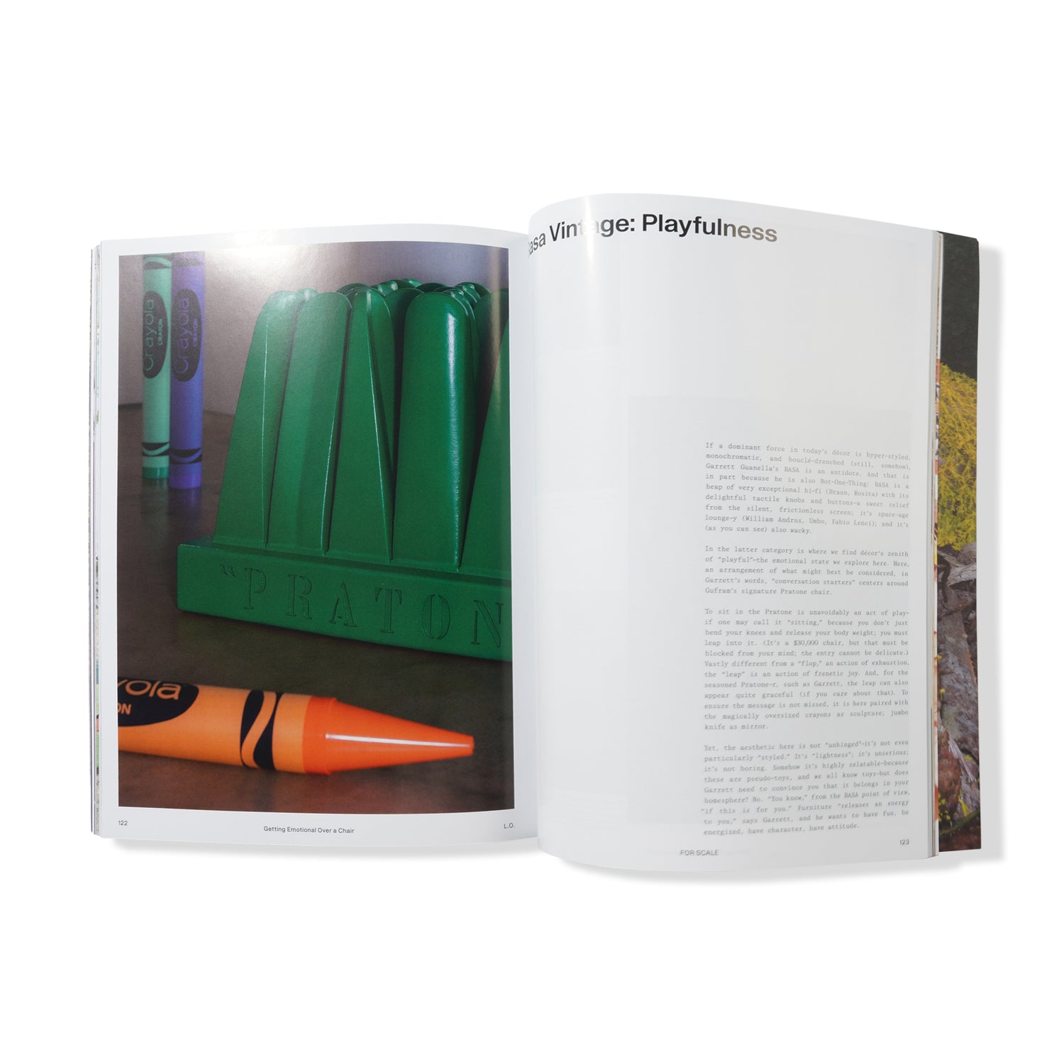 Local Optimist Issue 03, Cactus Store