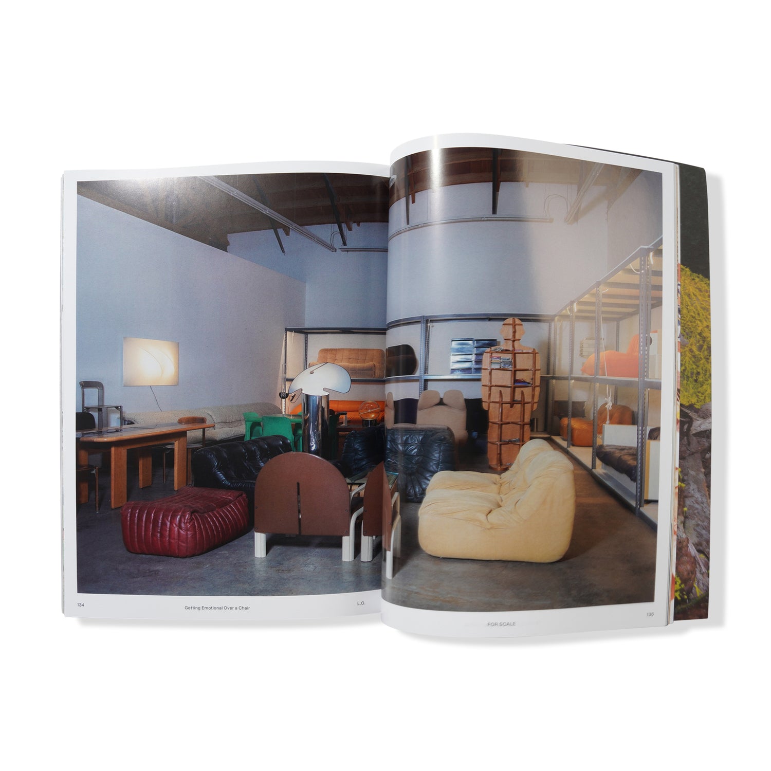 Local Optimist Issue 03, Cactus Store