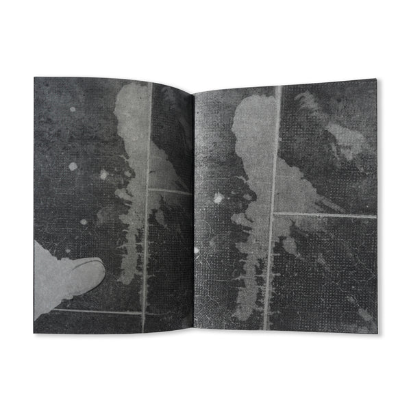 Innen Zines Sssppplllaaassshhh - By John Armleder