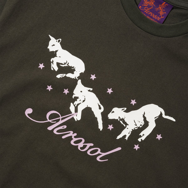 Aerosol Frolic Tee, Grey