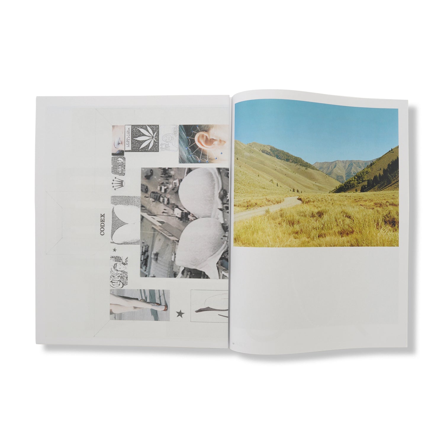 Issue 9