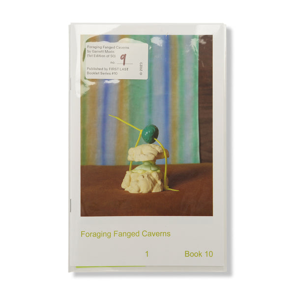 First Last Booklet Series #10