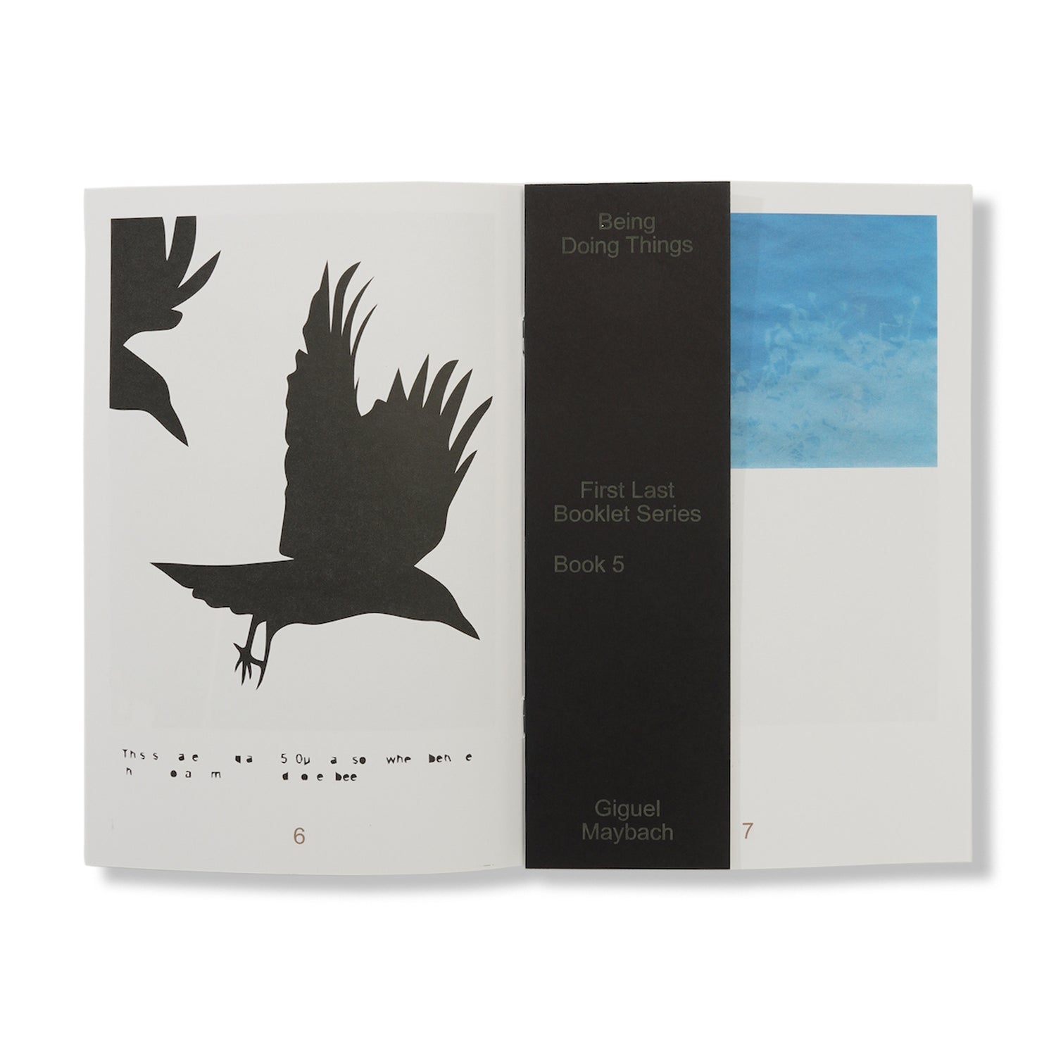 Booklet Series #9