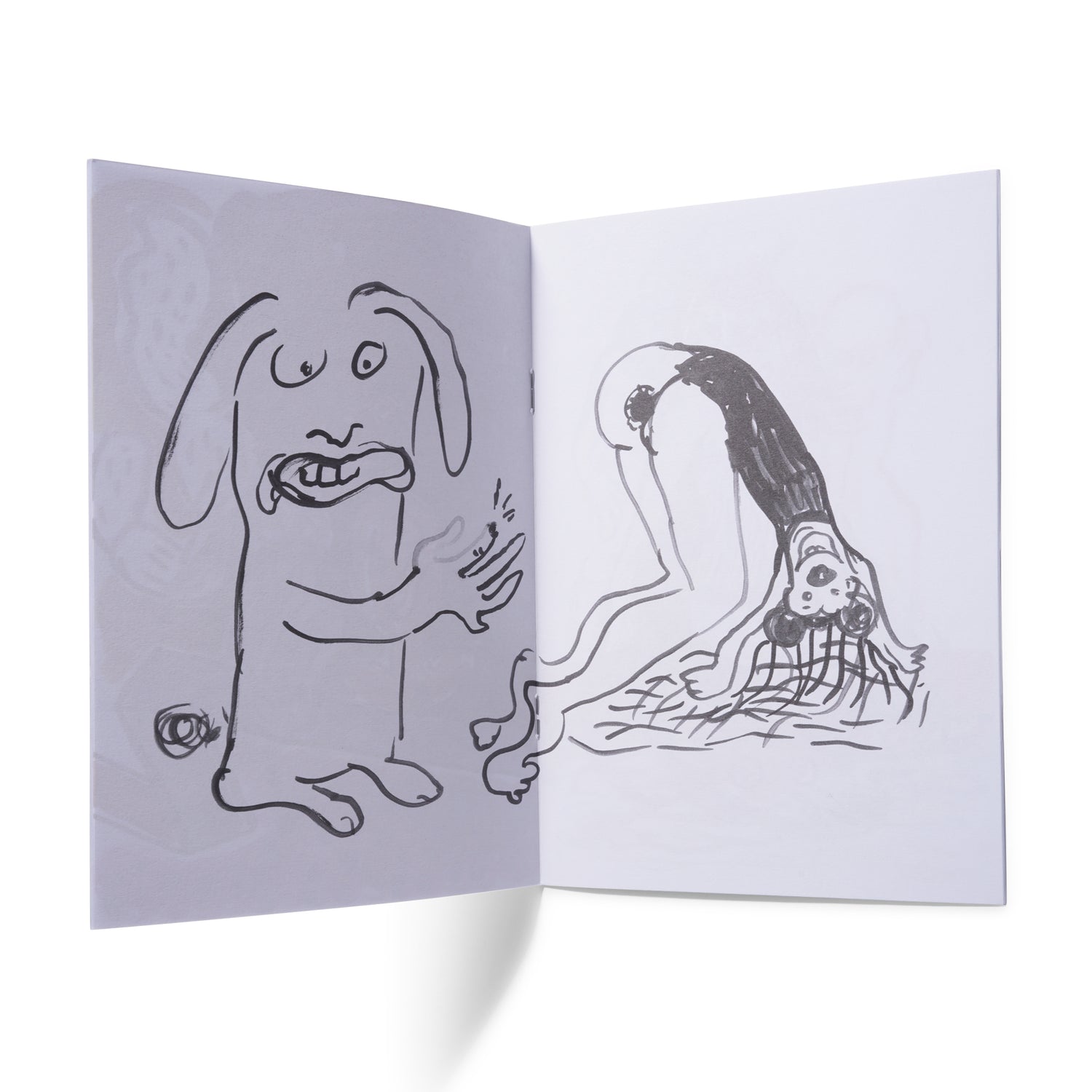 Zuni Halpern - Sensible Chuckle Zine