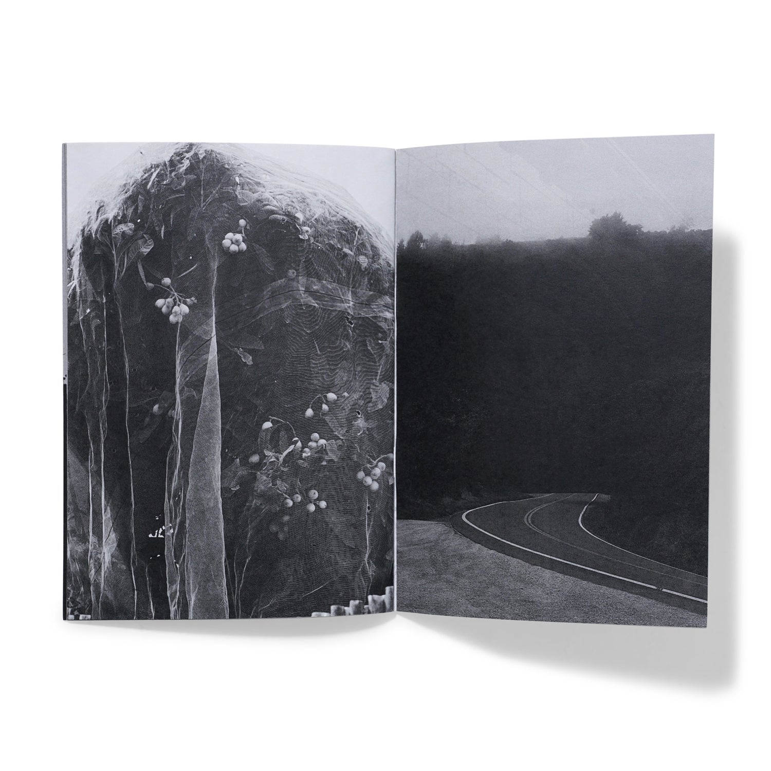 Inbar Levi 'In Light Of Darkness' Zine