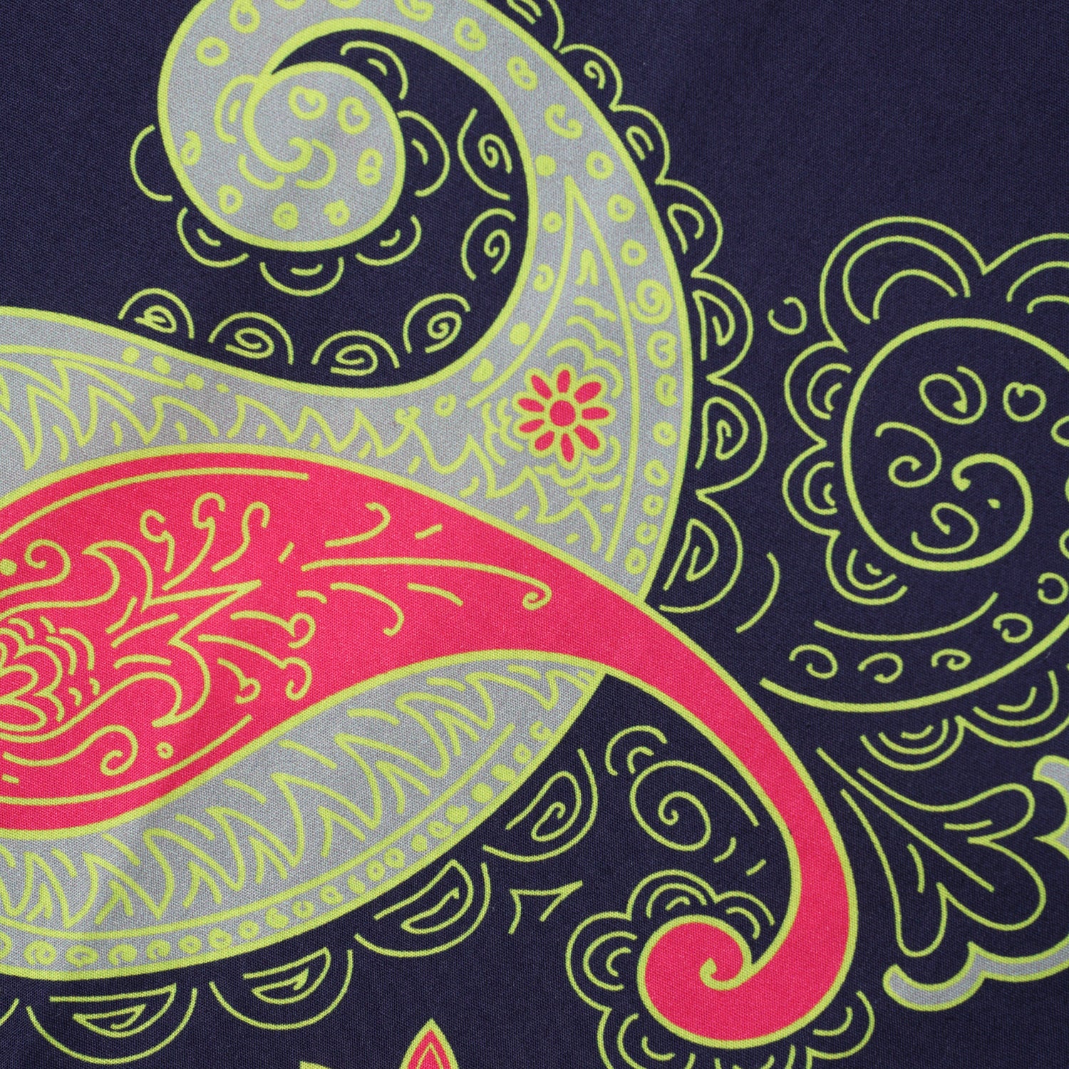 Printed Poplin Pants, Paisley
