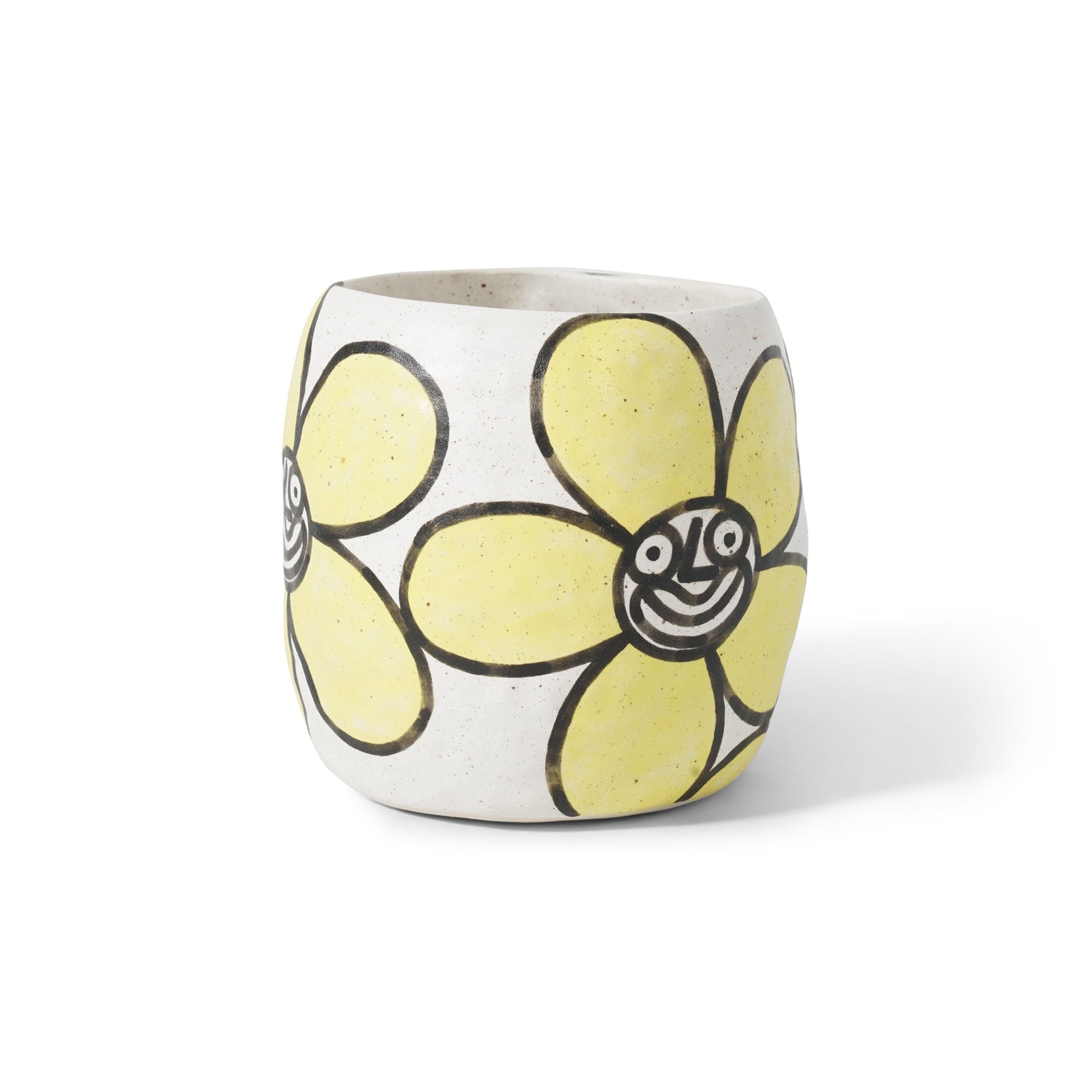 Daisy Pot Plant