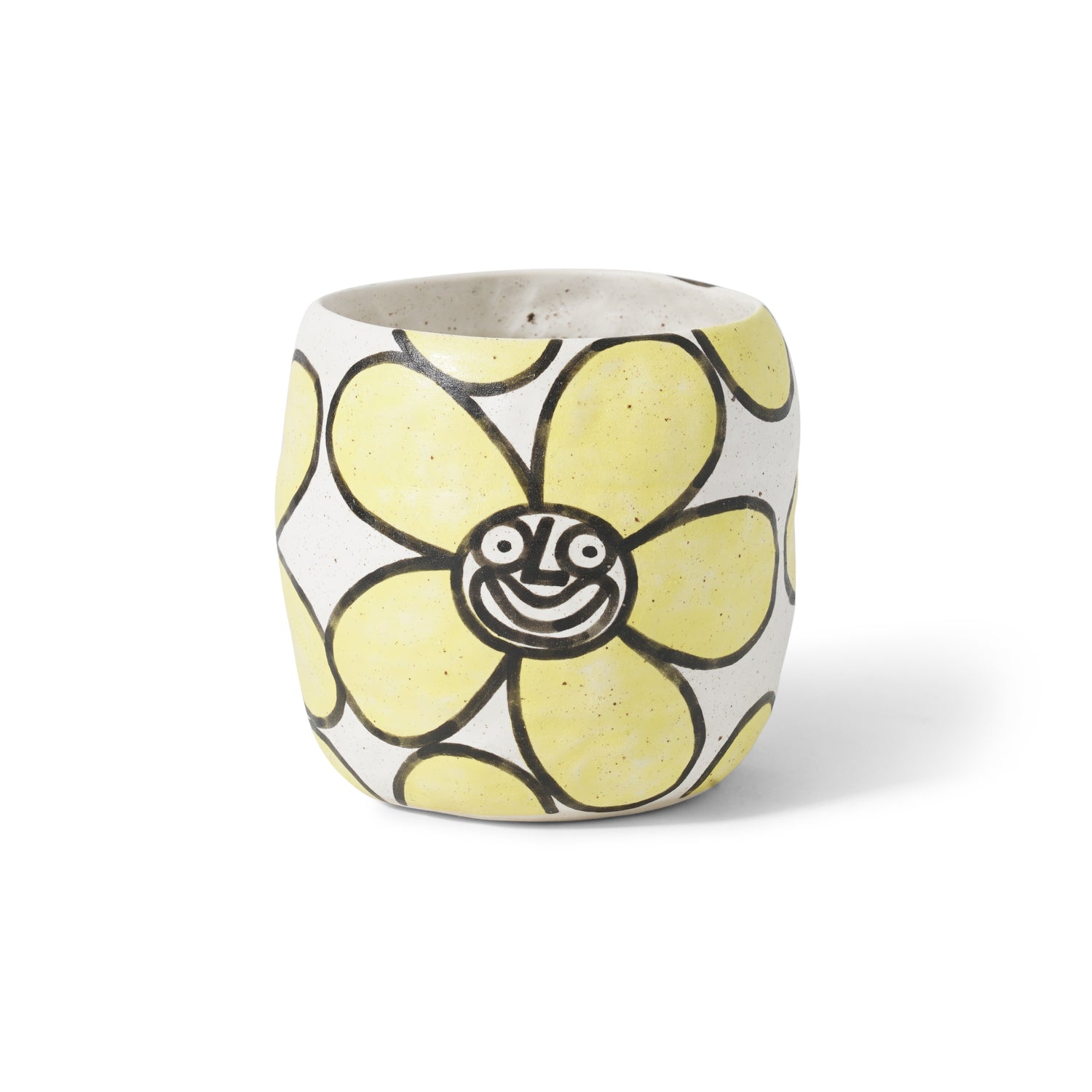 Daisy Pot Plant