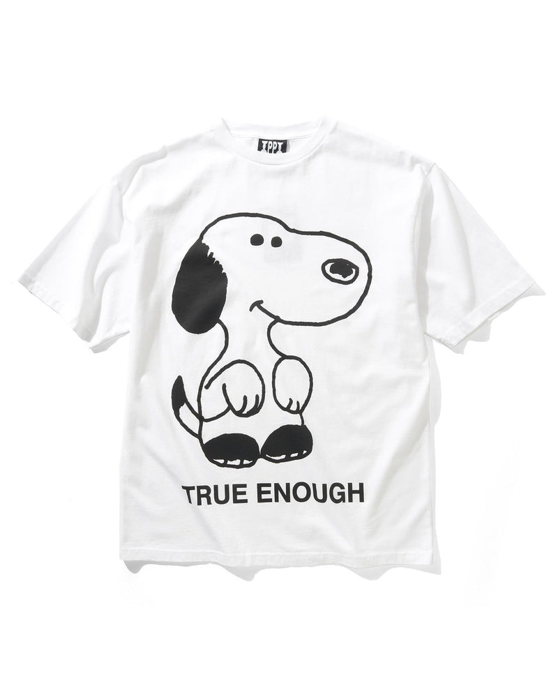 New Range: Public Possession