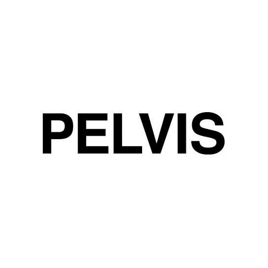 Pelvis
