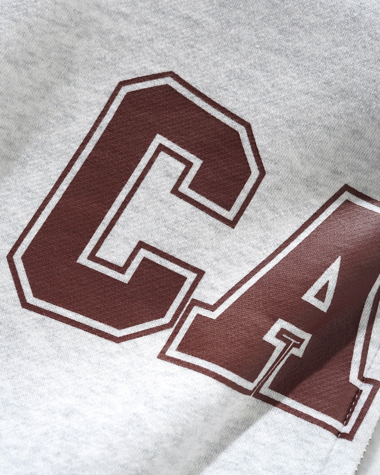 Campus Zip-Thru Hood, Ash