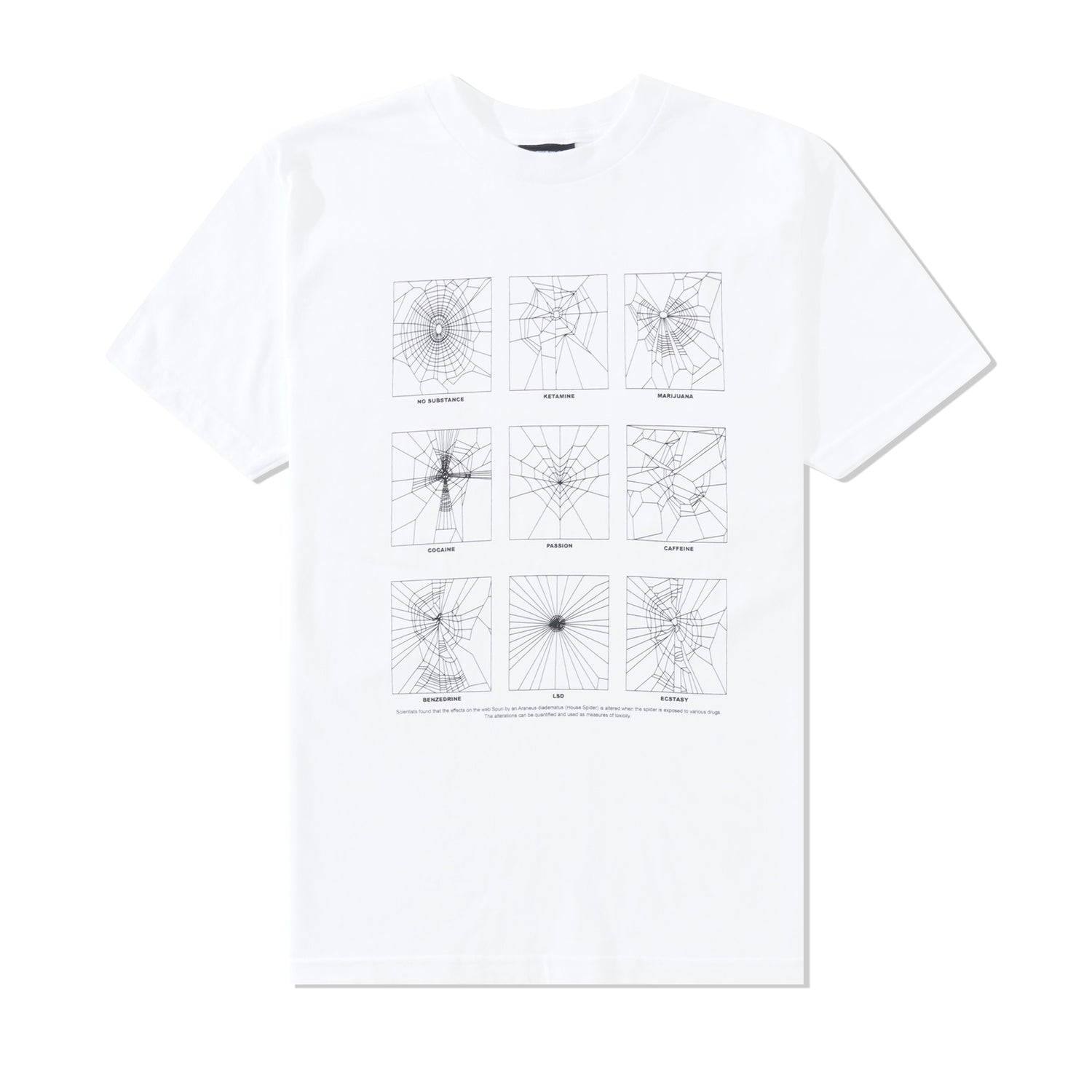 Spider Study Tee, White