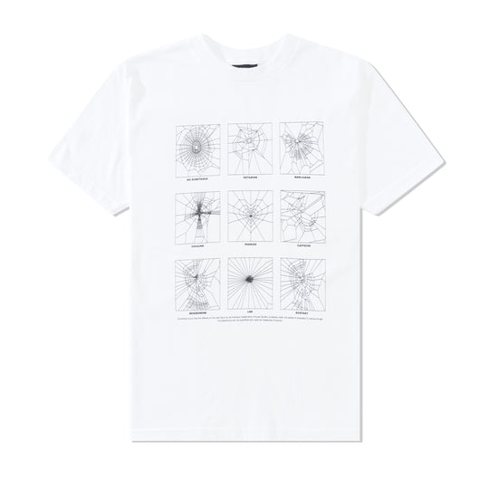 Spider Study Tee, White