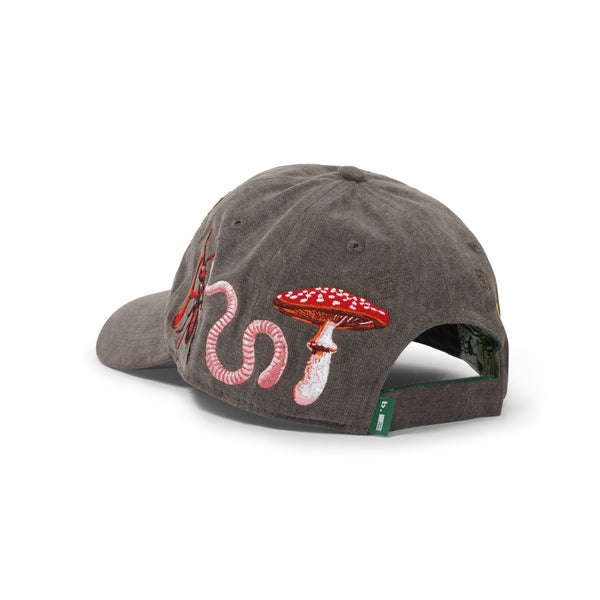 b.Eautiful Critters 6 Panel Hat, Washed Brown