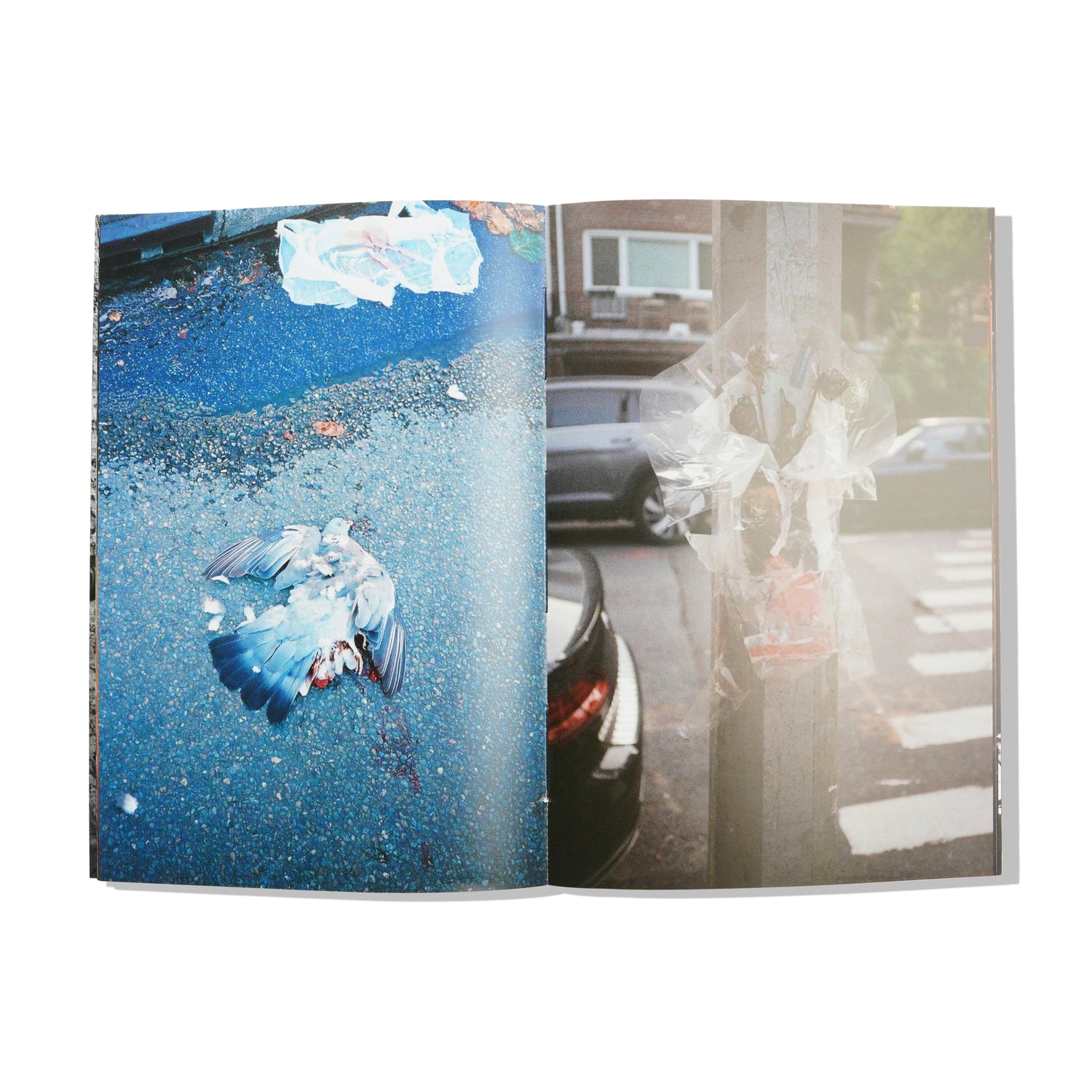 Day By Day Book