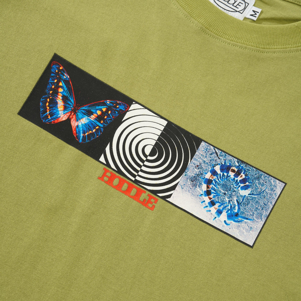 Specimen Tee, Pistachio Green