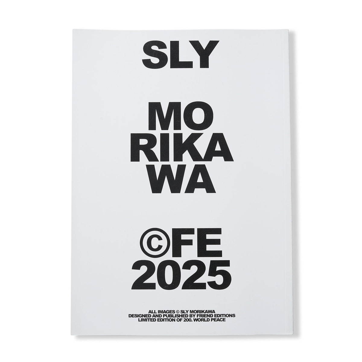 Highway Coaster Pleasure Land: Sly Morikawa