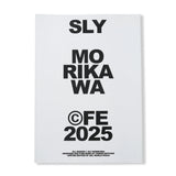 Highway Coaster Pleasure Land: Sly Morikawa