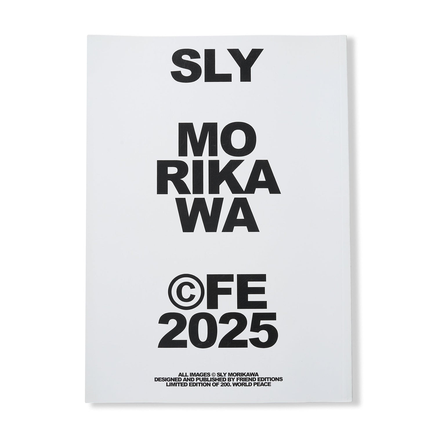 Highway Coaster Pleasure Land: Sly Morikawa