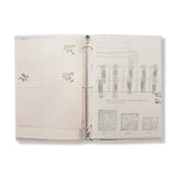 Jen Shear - The Realm