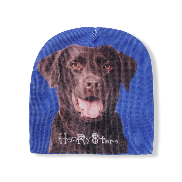Henry Johnson Retriever Skully, Blue