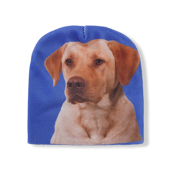 Henry Johnson Retriever Skully, Blue