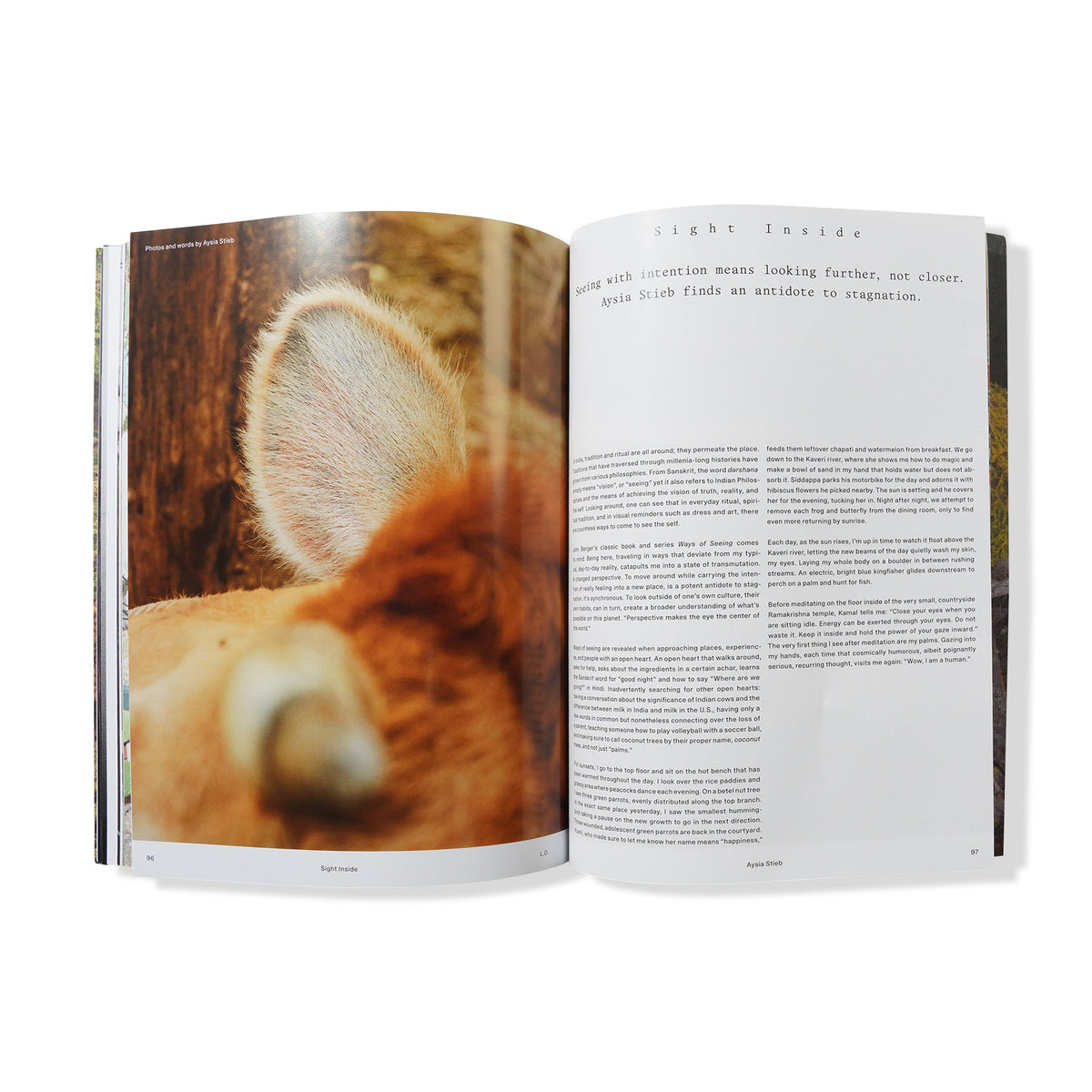Local Optimist Issue 03, Rahill Jamalifard