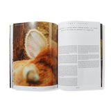 Local Optimist Issue 03, Rahill Jamalifard