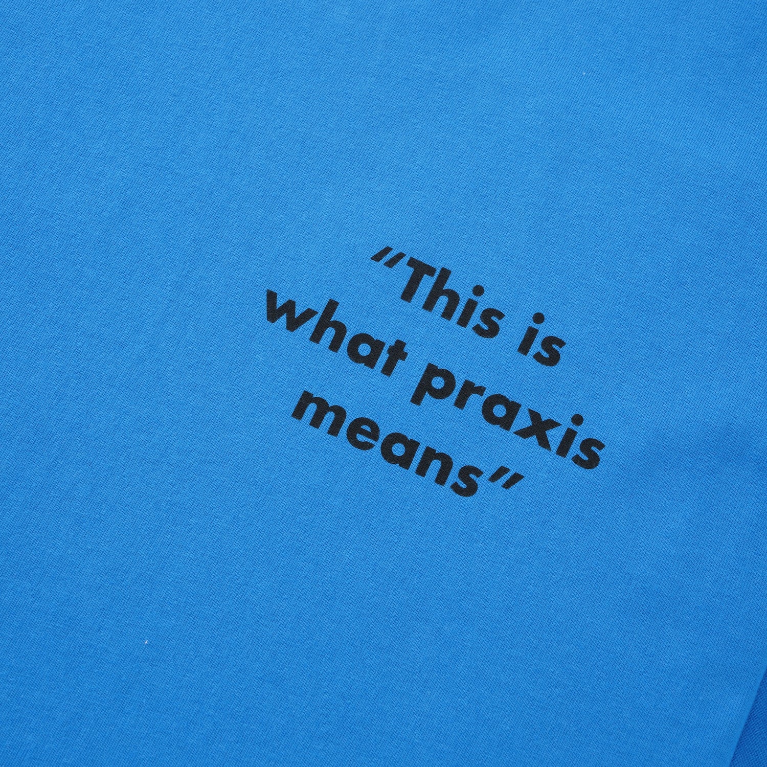 Praxis / Theorie Tee, Cute Blue