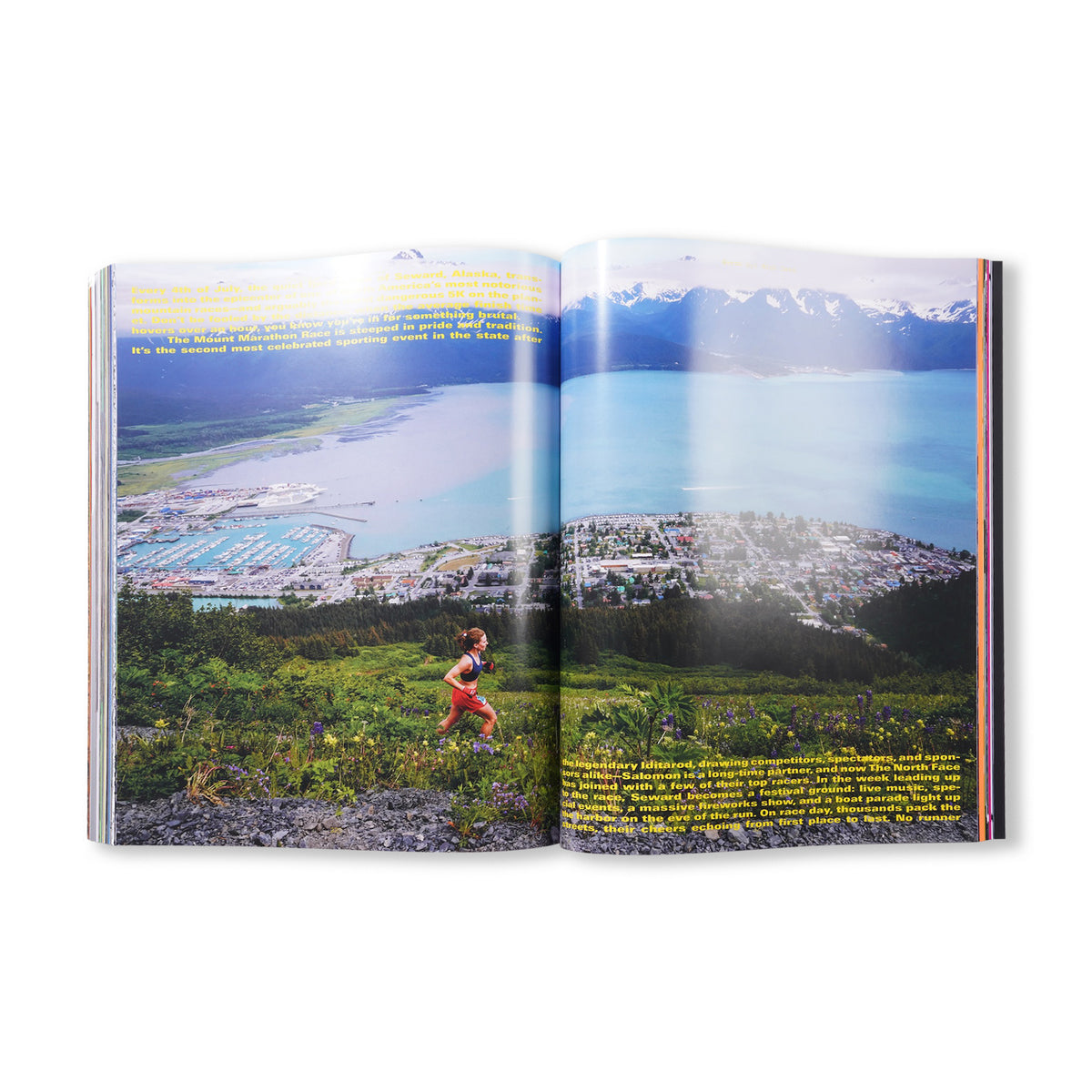 Mental Athletic Issue #4 - Cover 2 Salomon