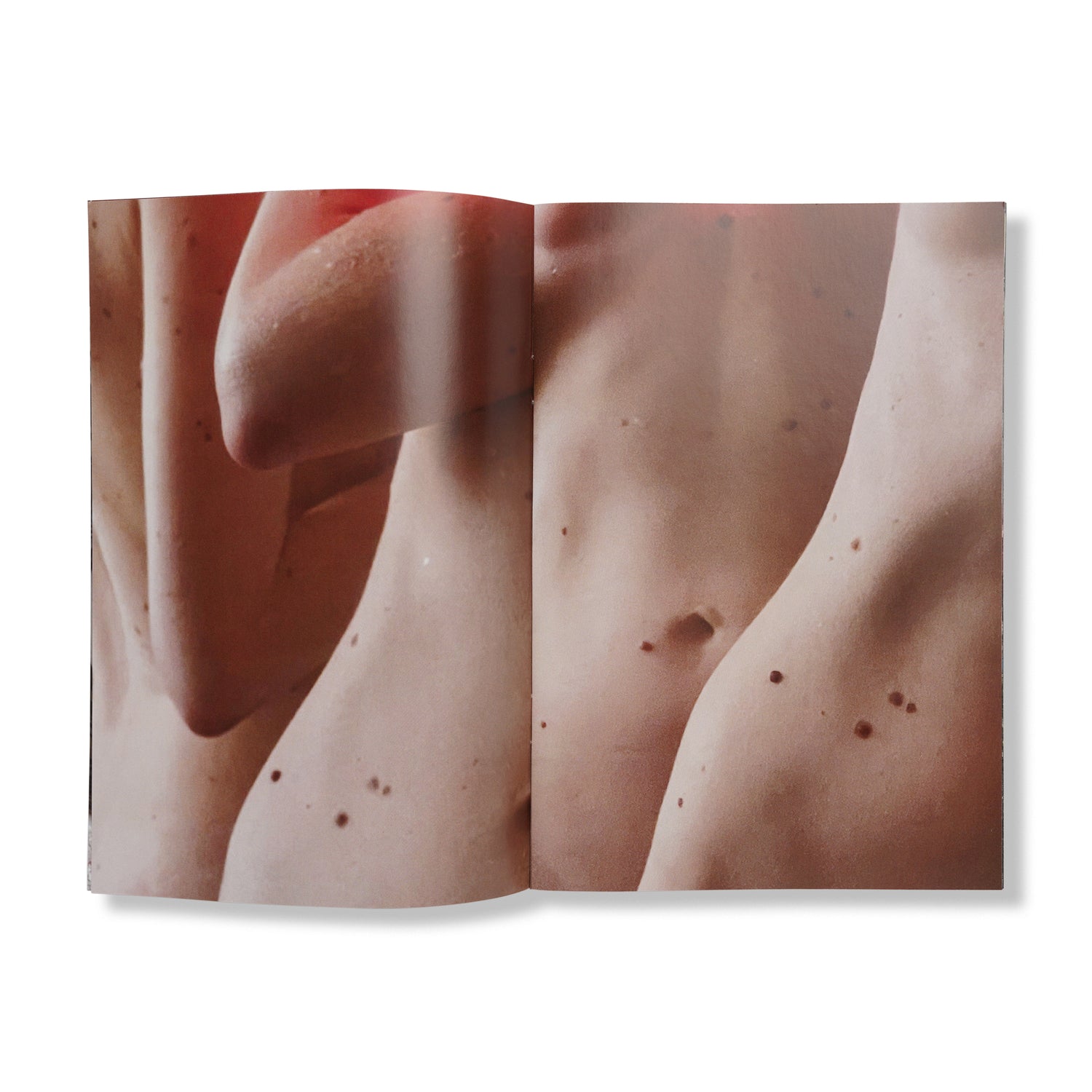 Melanie and Stephanie Hausberger - "UNTITLED NO.2"