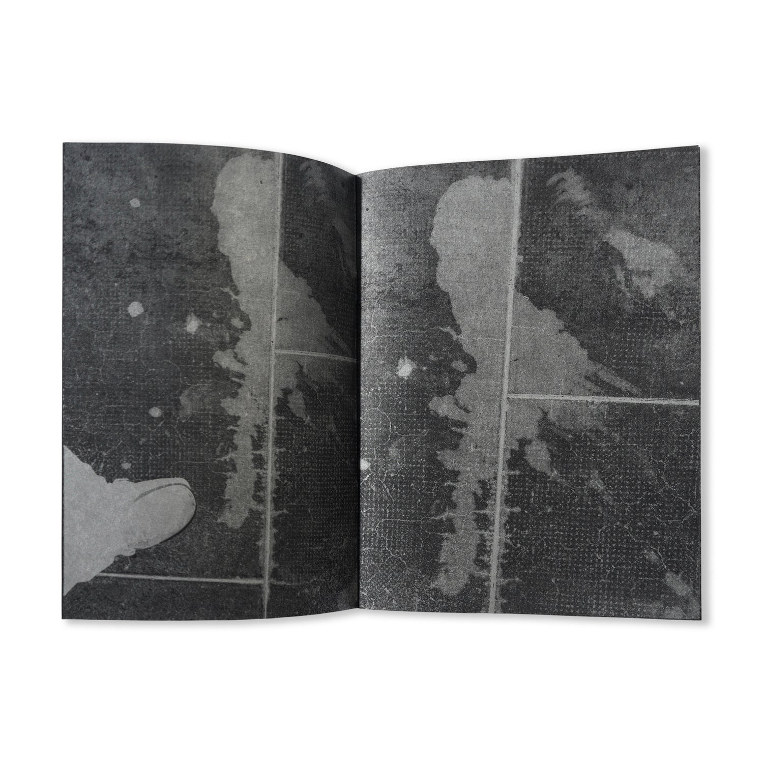 Sssppplllaaassshhh - By John Armleder