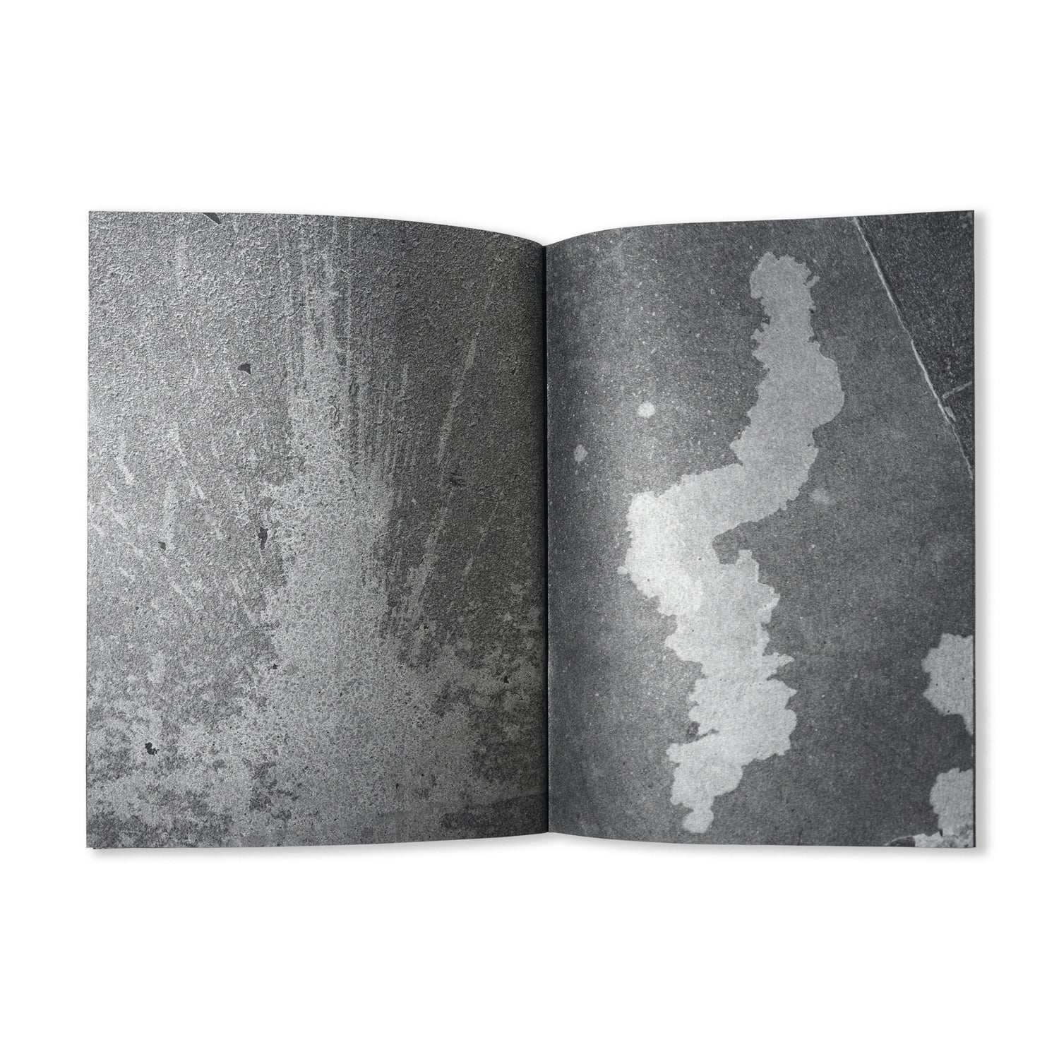 Sssppplllaaassshhh - By John Armleder