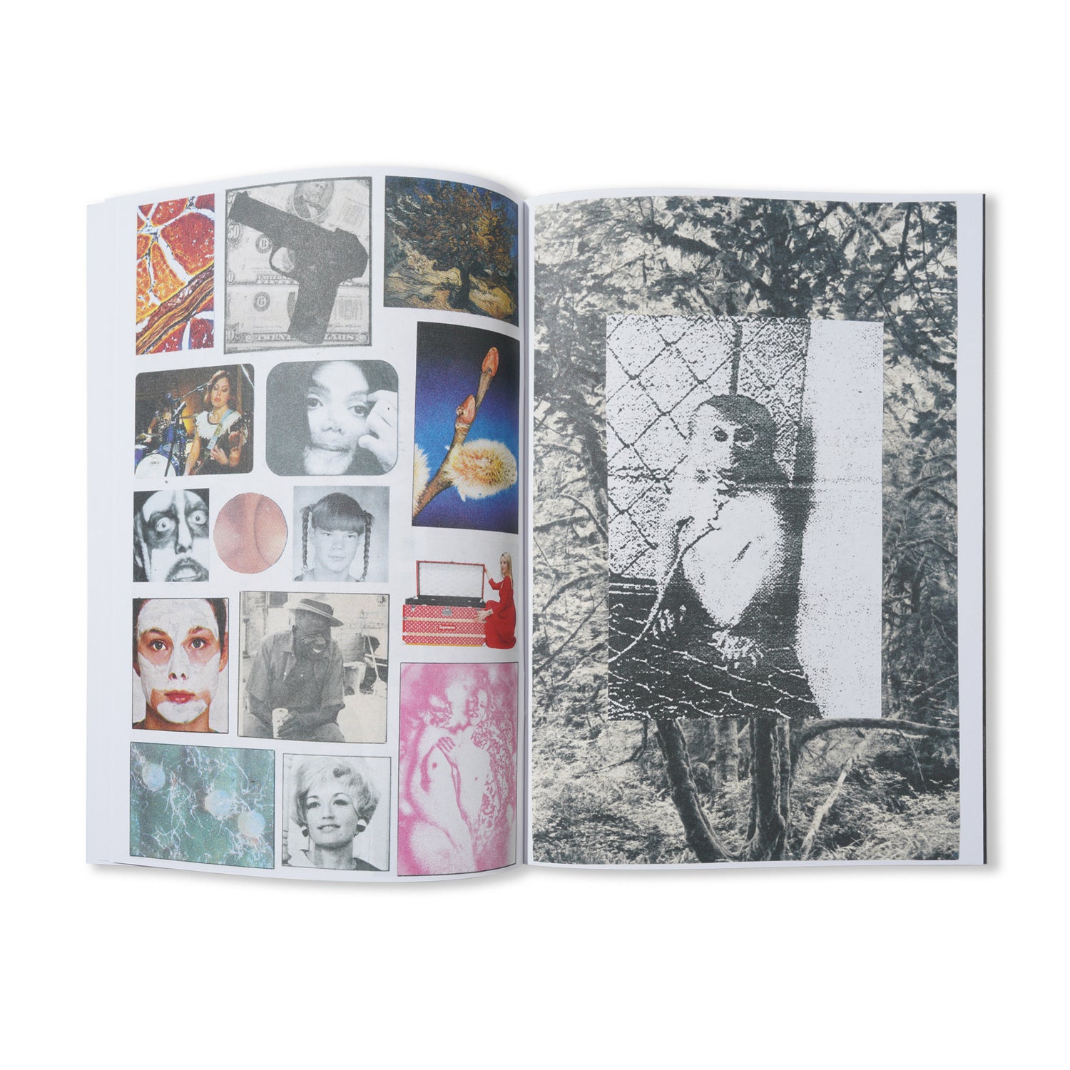 Fuck This Life x Hate Book