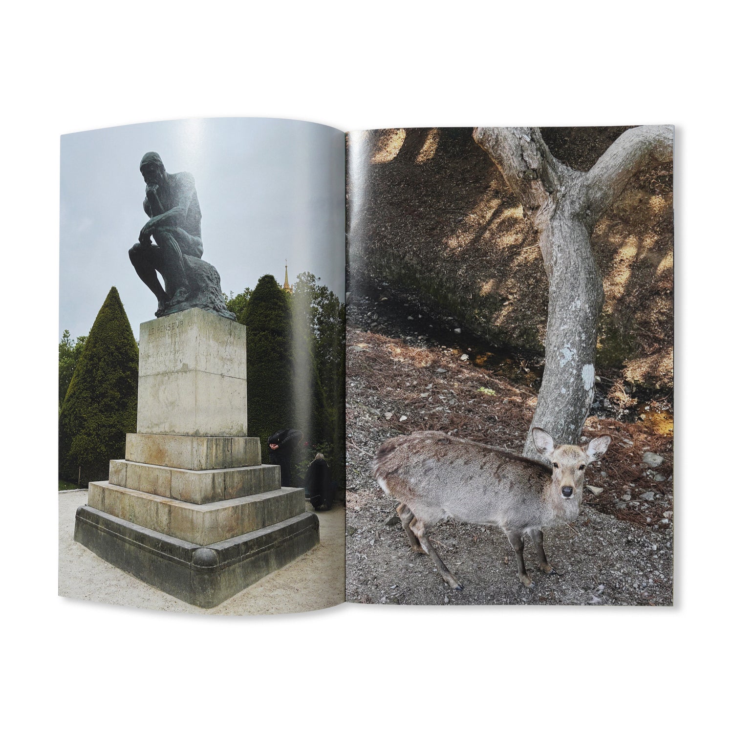 Euphoric Sandhu - By Simran Sandhu