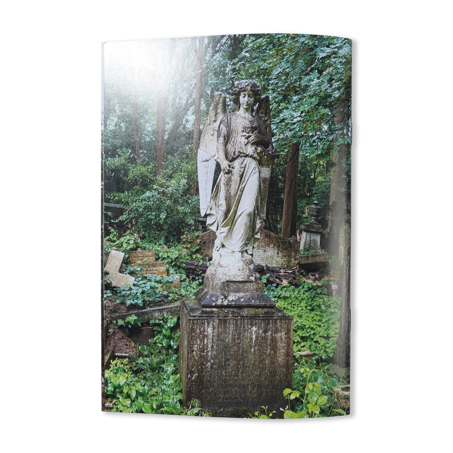 Euphoric Recall - By Simran Sandhu