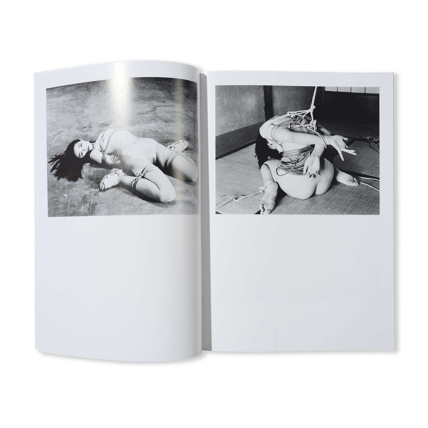 Untitled - By Nobuyoshi Araki