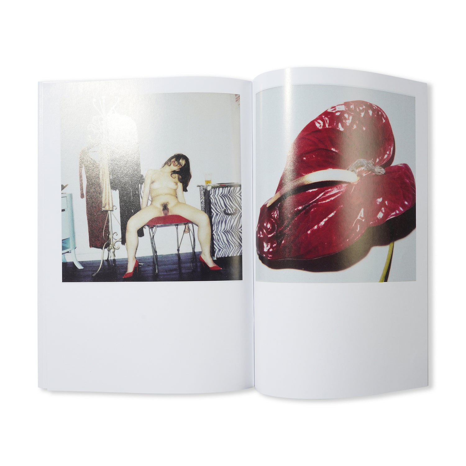 Untitled - By Nobuyoshi Araki