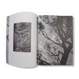 "Shadow River" - Daniel David Freeman
