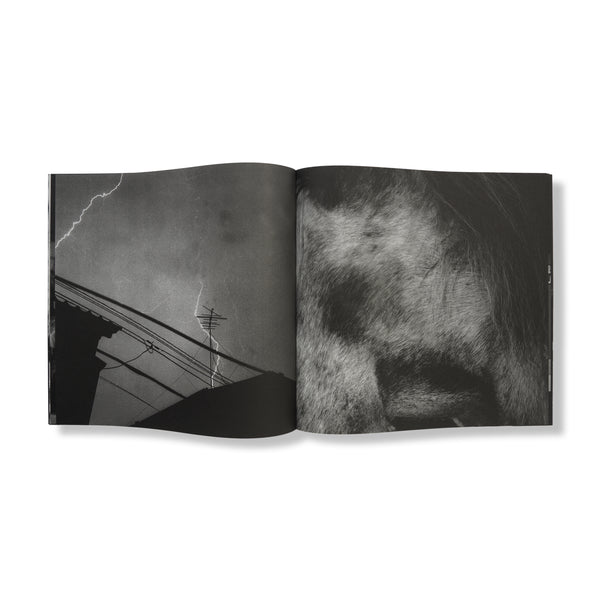 Salt and Pepper Jiro Konami - "ID1986"