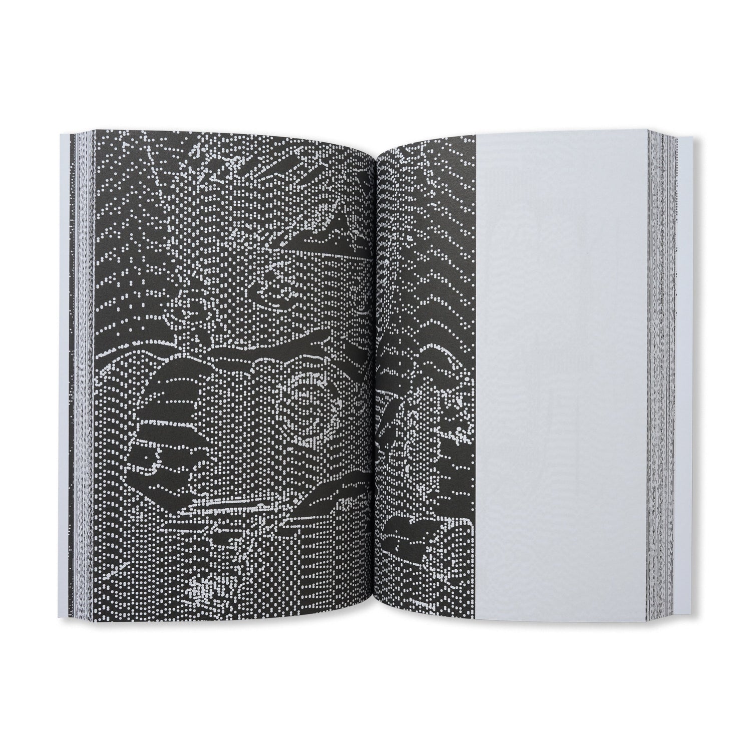 Mono/Poly - By Hiroshi Iguchi