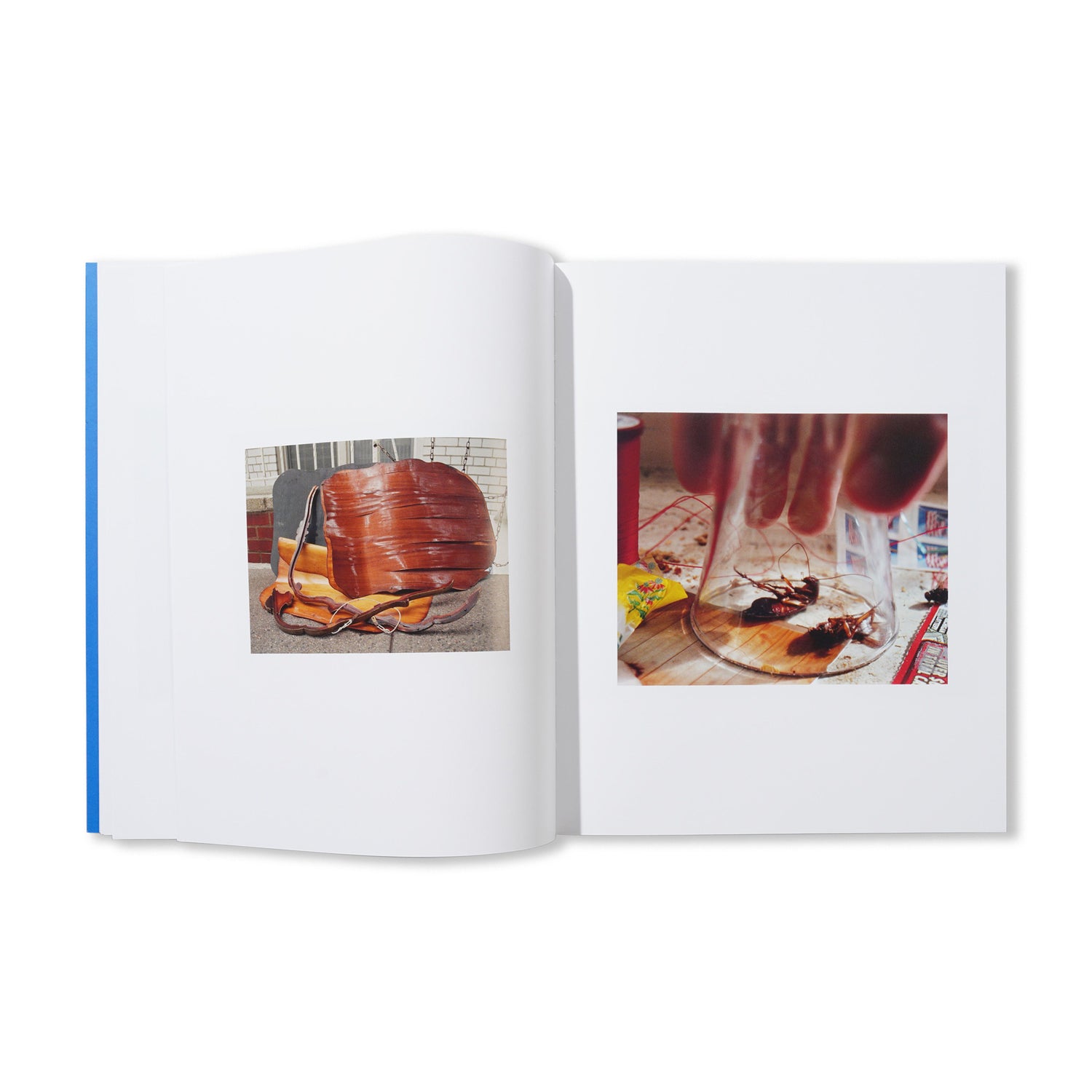 Fair Catch - By Madison Carroll