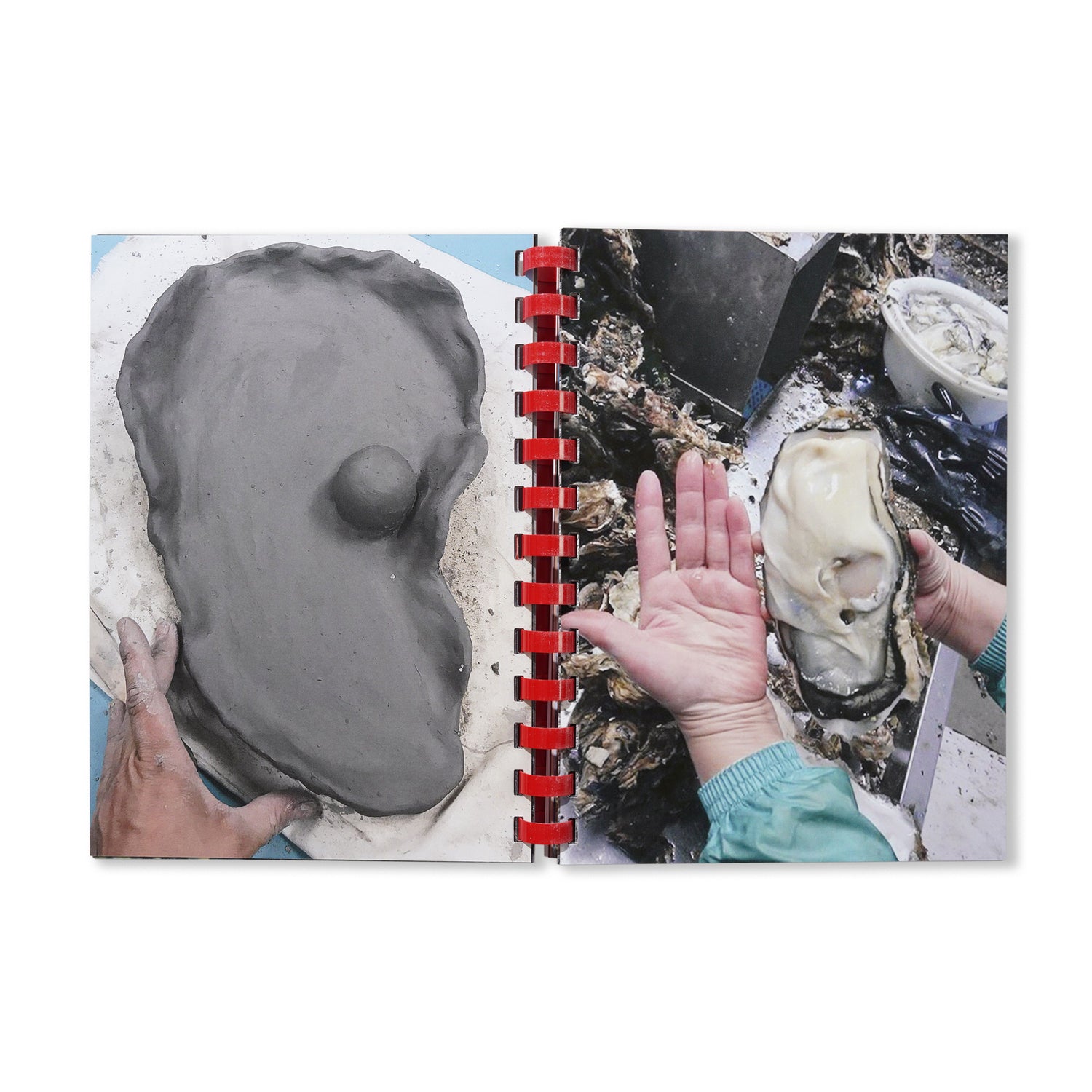 Hand For Scale - By Max Gravrich